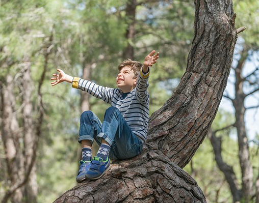 climbing, risk, risky play, risky, trees