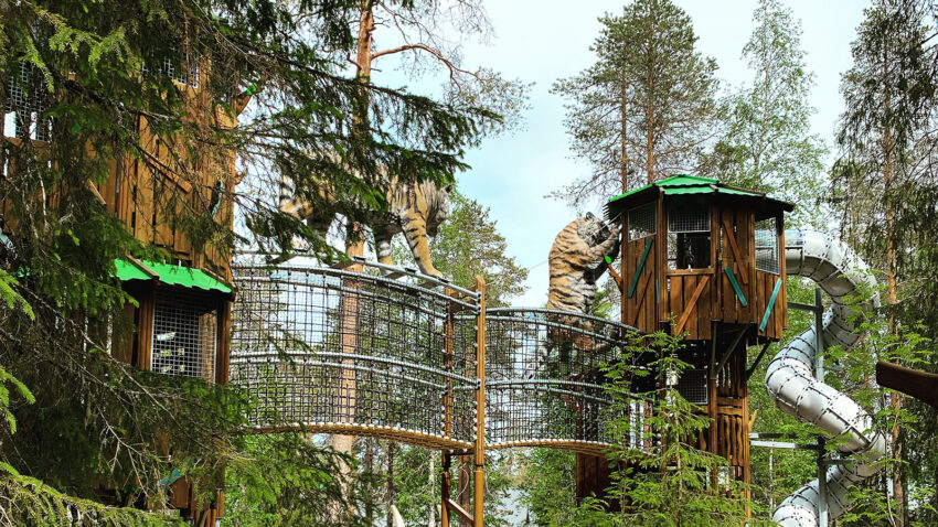 Lappset, Tiger Park - Ranua Wildlife Park (4)
